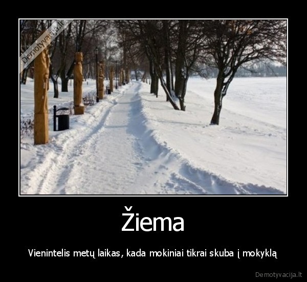 Žiema
