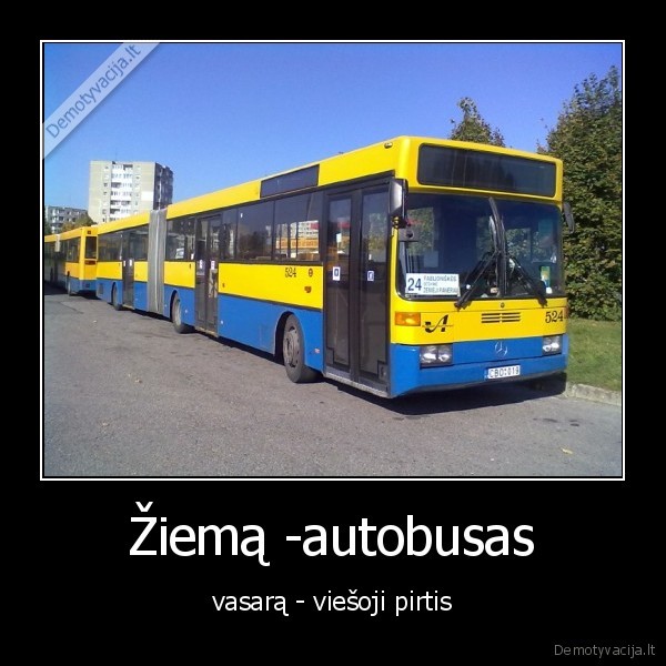 Žiemą -autobusas