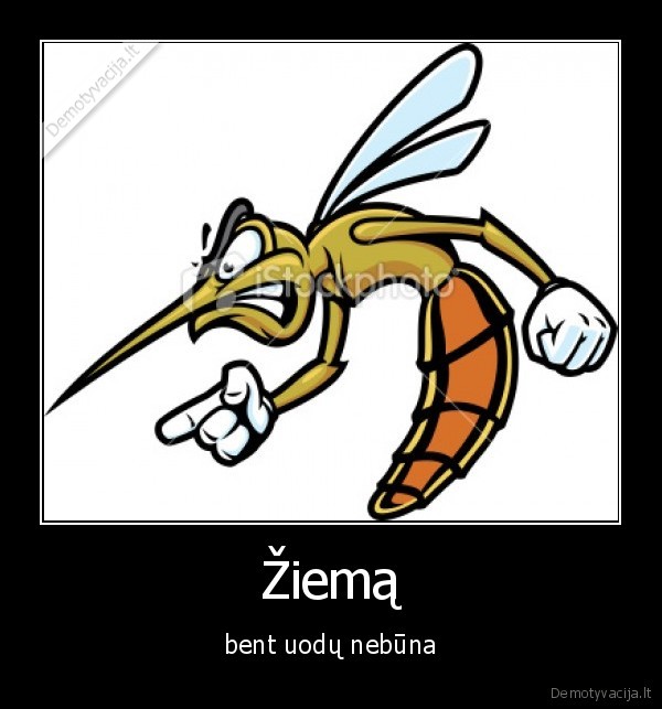 uodai, ziame, kaspis