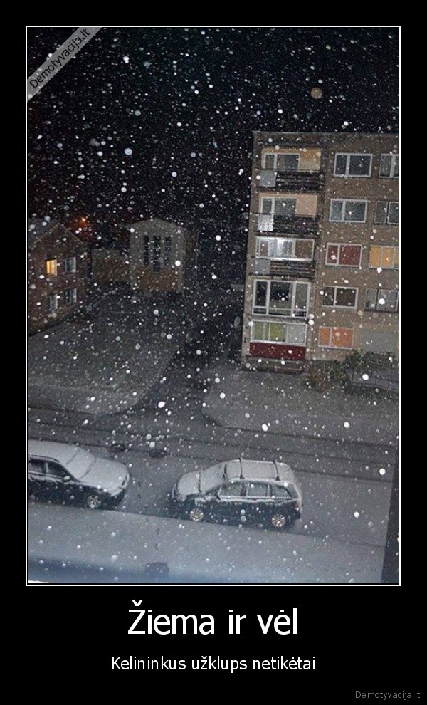 ziema,pirmasis, sniegas