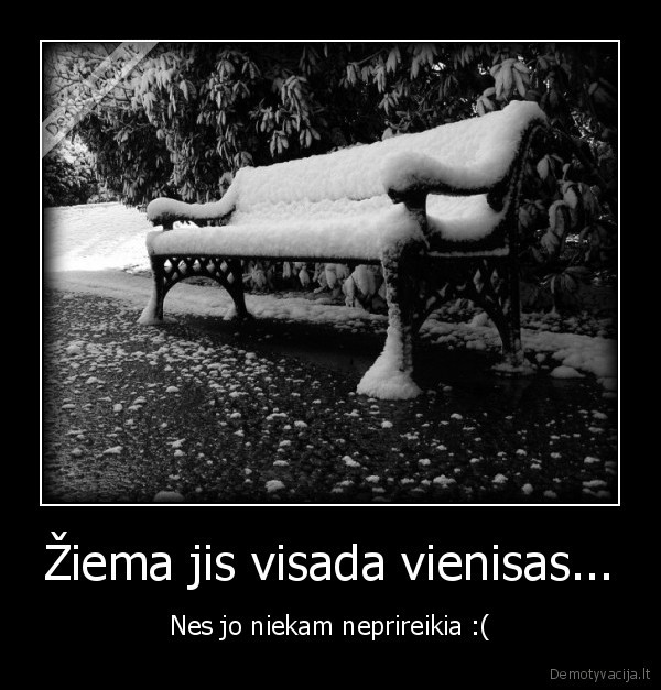Žiema jis visada vienisas...