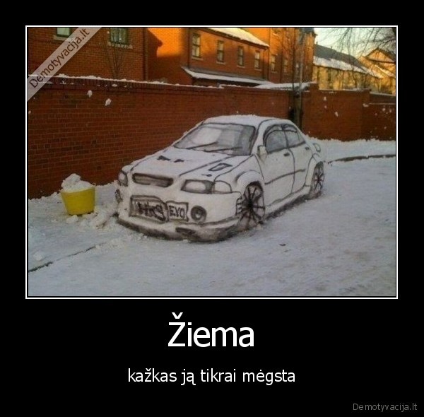 Žiema