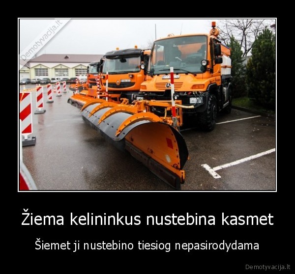 ziema,stebina,nera, sniego