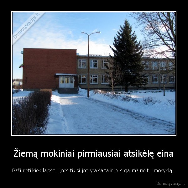 mokykla,ziema,saltis