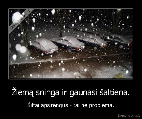 Žiemą sninga ir gaunasi šaltiena.