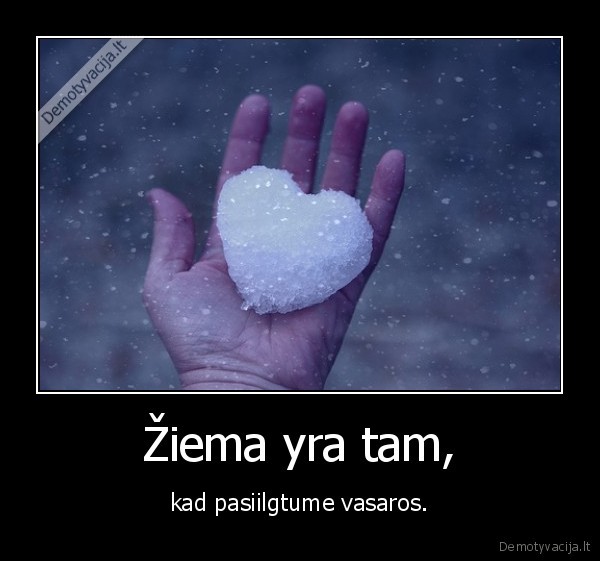 ziema, vasara, ilgesys