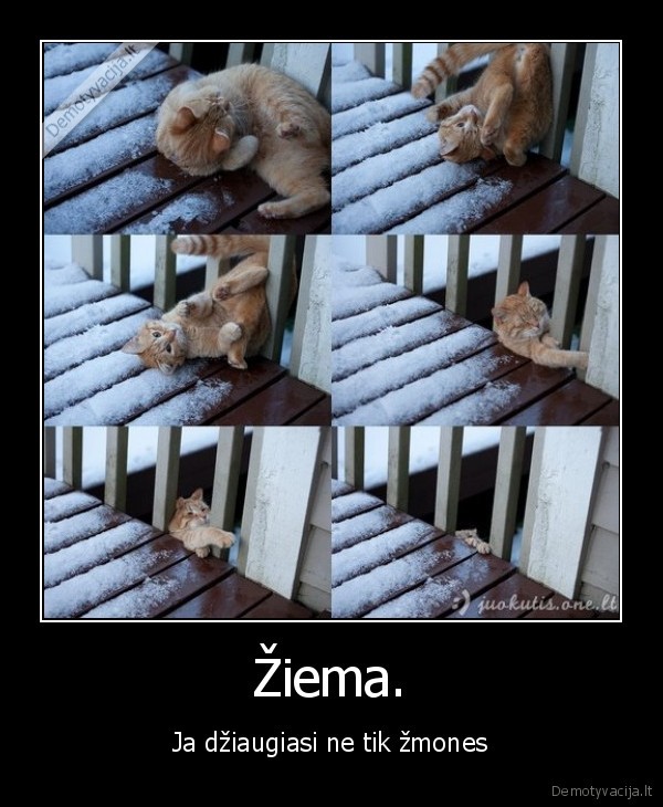 Žiema.