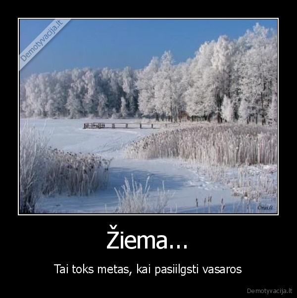 Žiema...