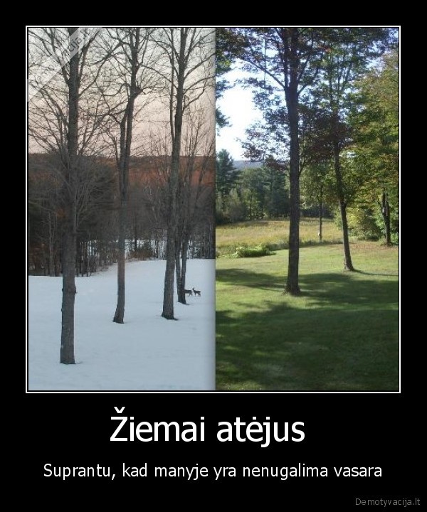 Žiemai atėjus 