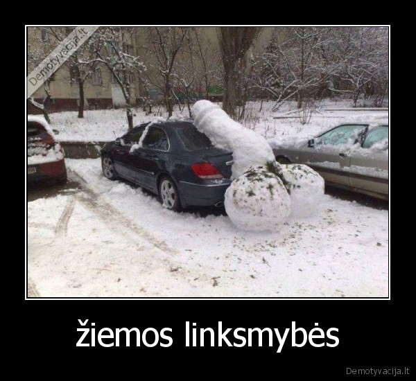žiemos linksmybės
