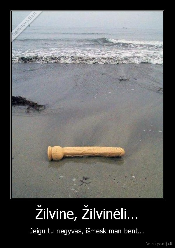 zilvine,zilvinas,zalciu,karaliene,egle