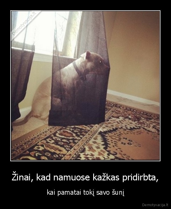 Žinai, kad namuose kažkas pridirbta,