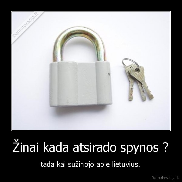 smorigina, ant, lauzo