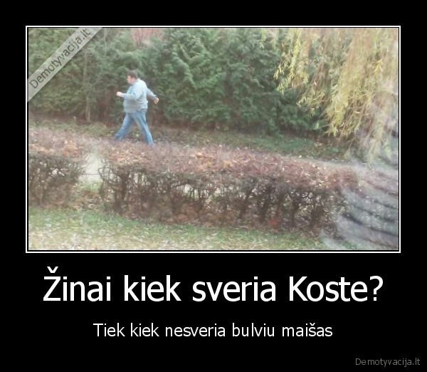 Žinai kiek sveria Koste?