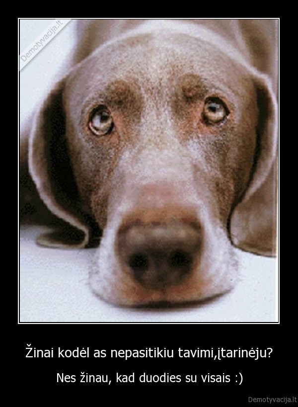 Žinai kodėl as nepasitikiu tavimi,įtarinėju?