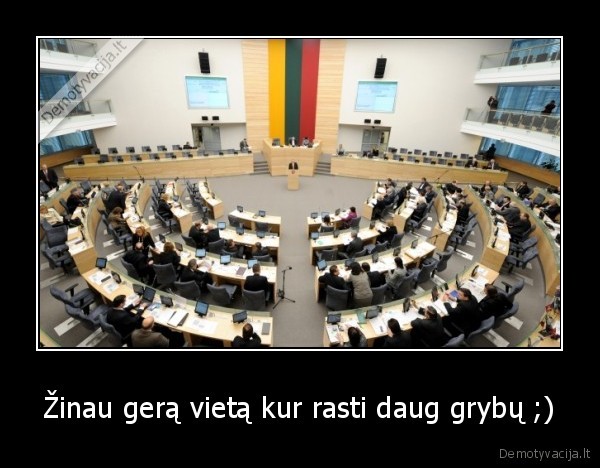 Žinau gerą vietą kur rasti daug grybų ;)