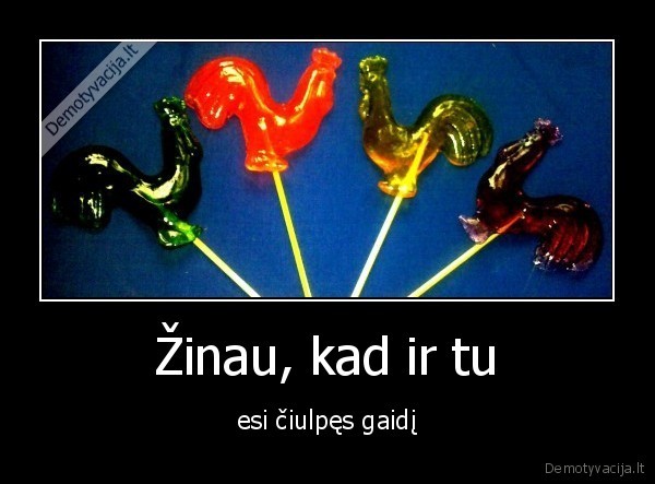 saldainiai, gaidelis,ciulpiamas, gaidys