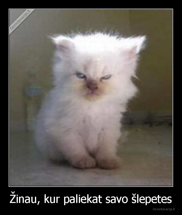 katinelis,katinas,slepetes,zino,kur