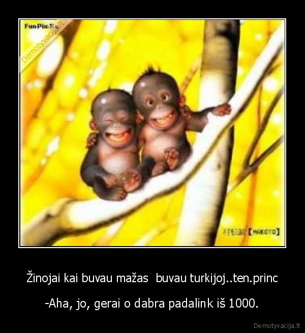 Žinojai kai buvau mažas  buvau turkijoj..ten.princ