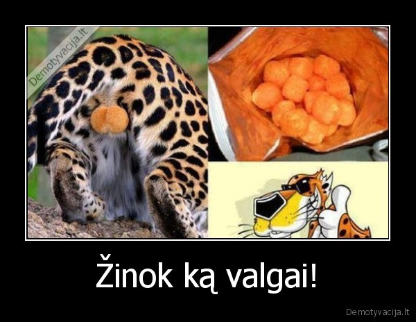 cheetos, traskuciai,tigro, kiausiniai