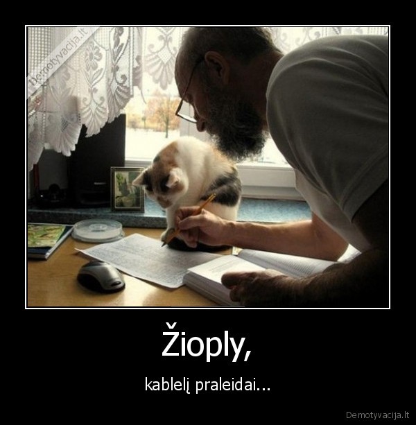 katinas,rasyba,rasymas