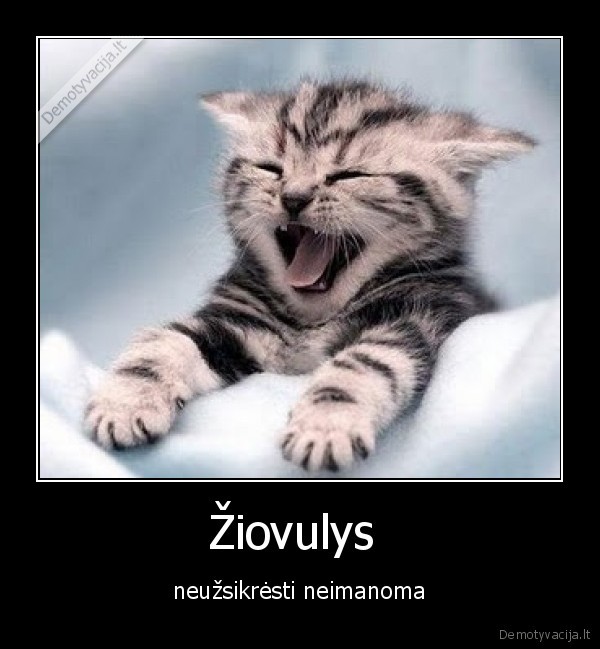 mielas, katina, uzsikresti, neimanoma