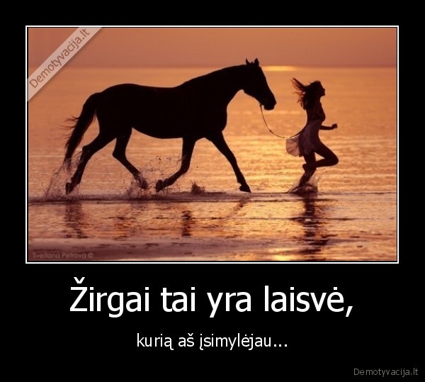 Žirgai tai yra laisvė,