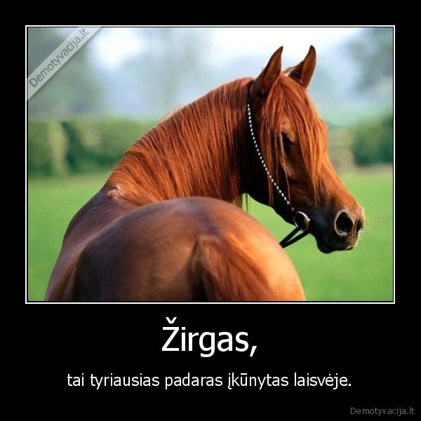 zirgas,arklys,laisve