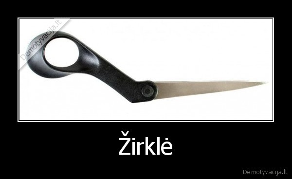 zirkles,vienaskaita