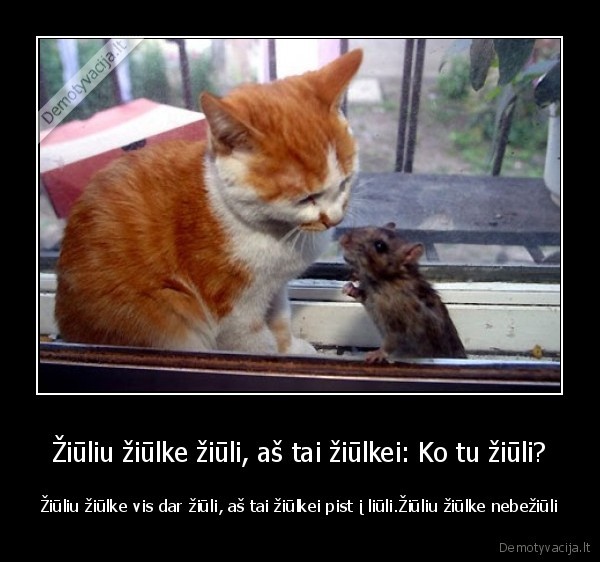 Žiūliu žiūlke žiūli, aš tai žiūlkei: Ko tu žiūli?