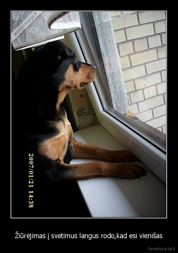 Žiūrėjimas į svetimus langus rodo,kad esi vienišas