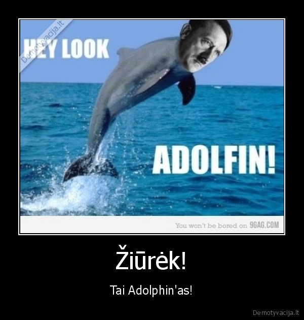 tu, hitleri, negyvas, haha