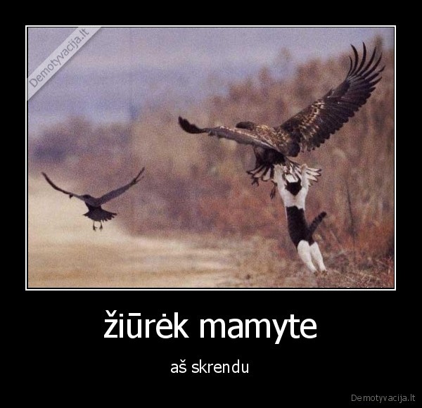 žiūrėk mamyte