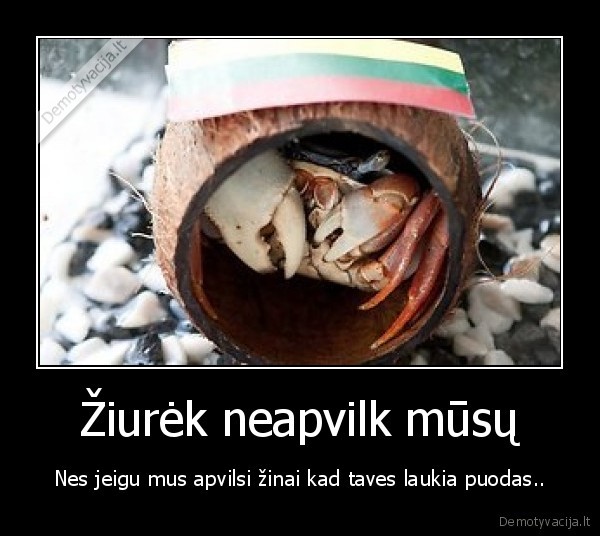 Žiurėk neapvilk mūsų