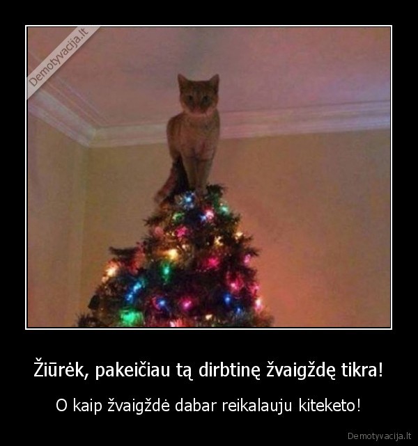 juokingas, katinas,katinas, ant, eglutes