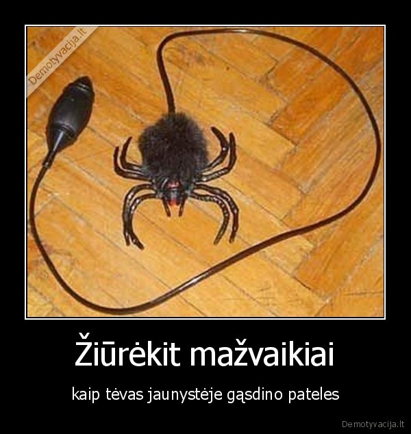 jaunyste,zaislas,voras