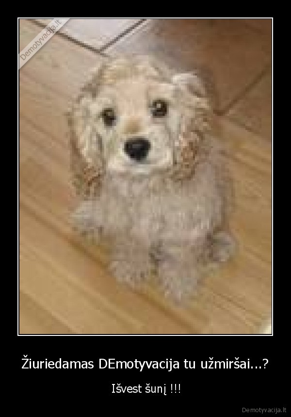Žiuriedamas DEmotyvacija tu užmiršai...?