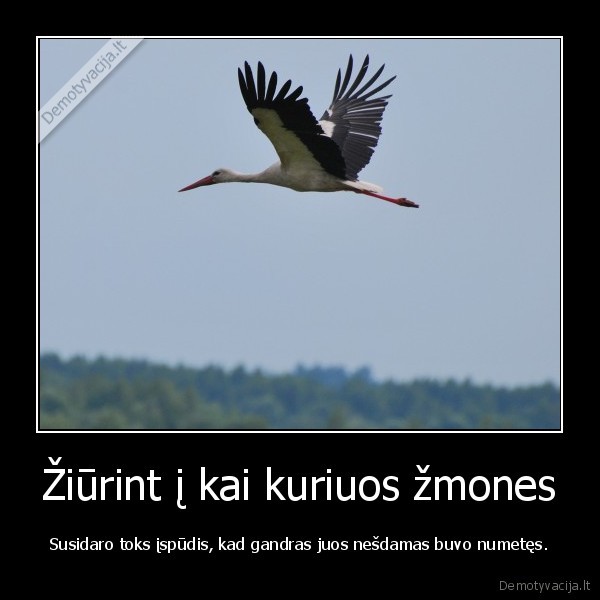 gandras,zmones,trenkti