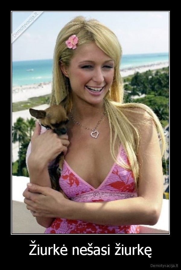 Žiurkė nešasi žiurkę