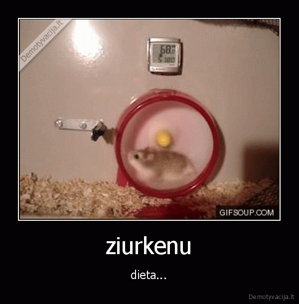 dieta,ziurkenai