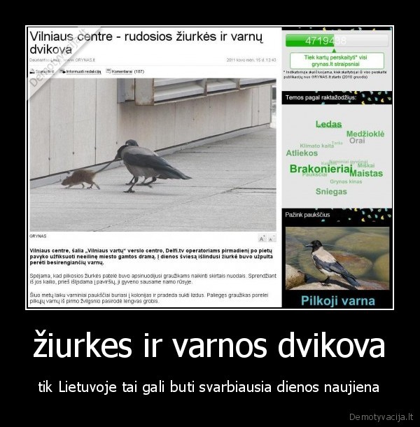 gyvenimas,varna,ziurke