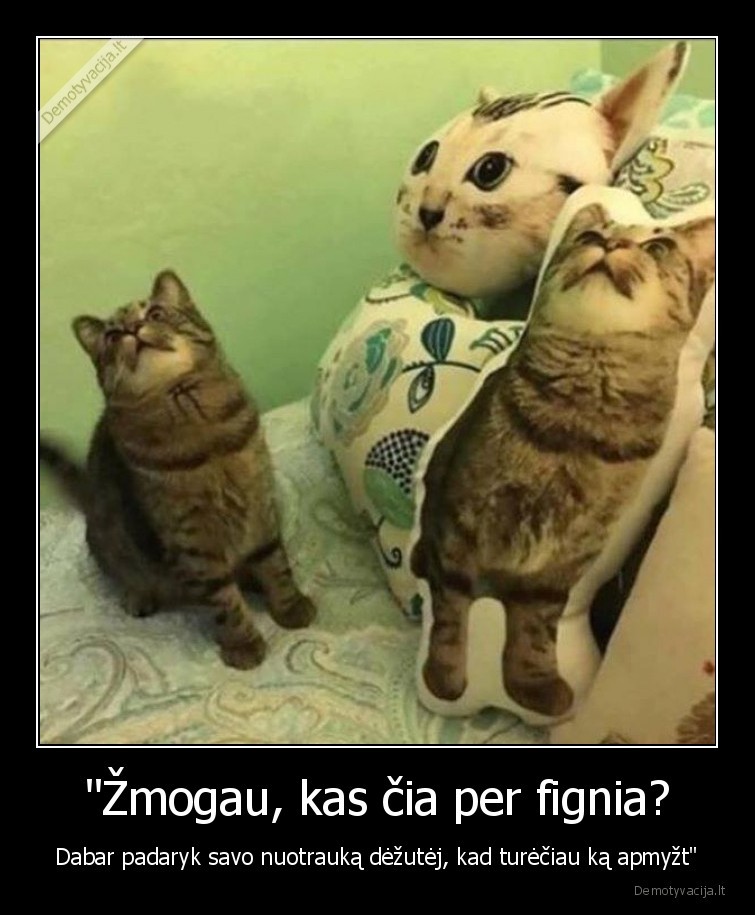 zmogus,katinas,kate,pagalve