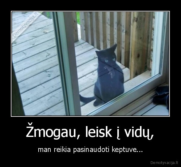 Žmogau, leisk į vidų,