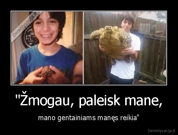 vezlys,didelis,mazas