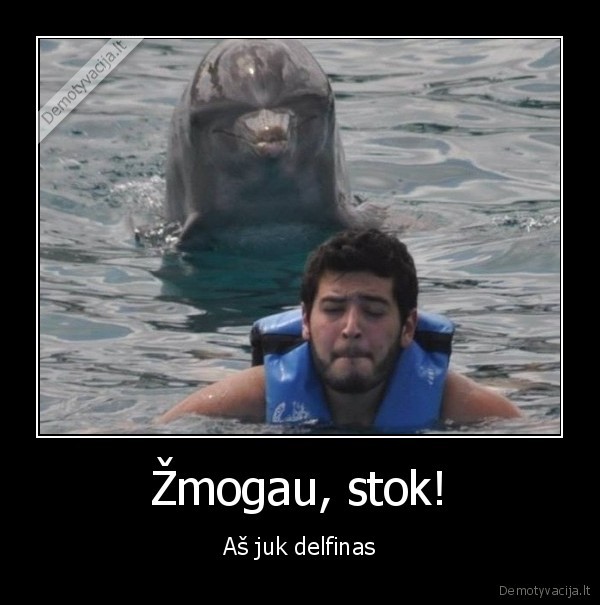 delfinas,plaukti,zmogus