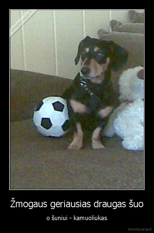 Žmogaus geriausias draugas šuo