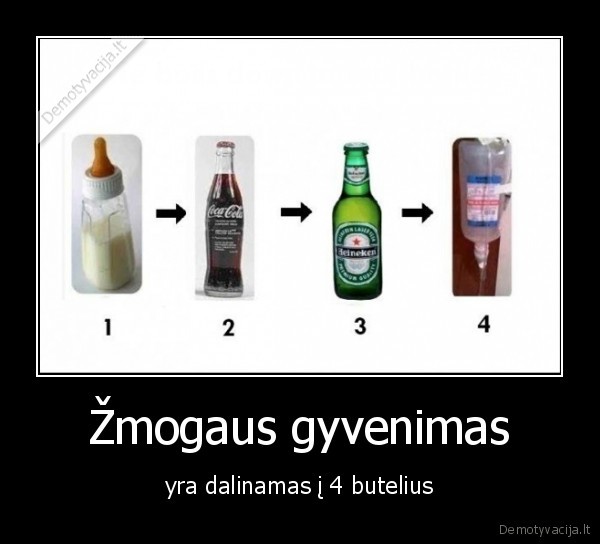 buteliai,gyvenimas, dalinamas,i, 4, butelius