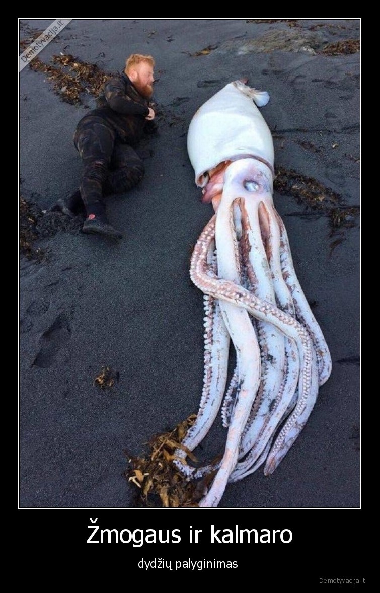 dydis,kalmaras,zmogus