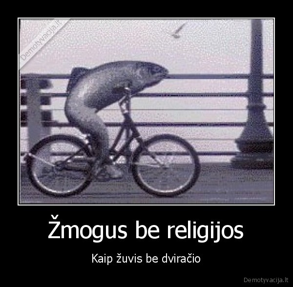 zuvis,dviratis,religija