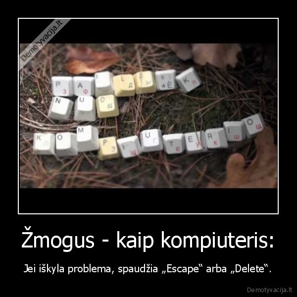 Žmogus - kaip kompiuteris: